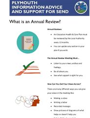 Annual Review Easy Read